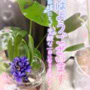 ヒメ日記 2025/01/21 04:30 投稿 さゆき 奥鉄オクテツ東京店（デリヘル市場）