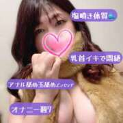 ヒメ日記 2025/01/25 11:00 投稿 さゆき 奥鉄オクテツ東京店（デリヘル市場）