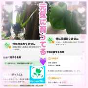 ヒメ日記 2025/01/27 13:40 投稿 さゆき 奥鉄オクテツ東京店（デリヘル市場）