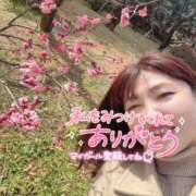 ヒメ日記 2025/02/28 11:15 投稿 さゆき 奥鉄オクテツ東京店（デリヘル市場）