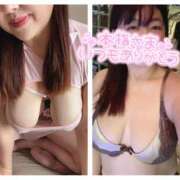 ヒメ日記 2025/03/24 14:50 投稿 さゆき 奥鉄オクテツ東京店（デリヘル市場）