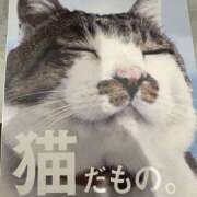 ヒメ日記 2025/06/07 08:55 投稿 さゆき 奥鉄オクテツ東京店（デリヘル市場）