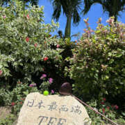 ヒメ日記 2025/06/23 15:45 投稿 さゆき 奥鉄オクテツ東京店（デリヘル市場）