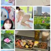 ヒメ日記 2025/07/23 18:20 投稿 さゆき 奥鉄オクテツ東京店（デリヘル市場）