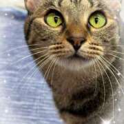 ヒメ日記 2025/08/31 21:40 投稿 さゆき 奥鉄オクテツ東京店（デリヘル市場）