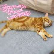 ヒメ日記 2025/09/05 16:35 投稿 さゆき 奥鉄オクテツ東京店（デリヘル市場）