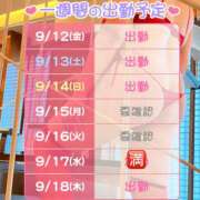 ヒメ日記 2025/09/12 09:40 投稿 さゆき 奥鉄オクテツ東京店（デリヘル市場）