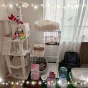 ヒメ日記 2025/10/18 08:15 投稿 さゆき 奥鉄オクテツ東京店（デリヘル市場）