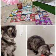 ヒメ日記 2025/10/21 15:15 投稿 さゆき 奥鉄オクテツ東京店（デリヘル市場）