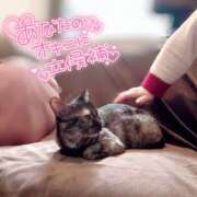 ヒメ日記 2025/10/25 15:30 投稿 さゆき 奥鉄オクテツ東京店（デリヘル市場）