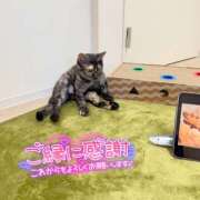 ヒメ日記 2025/12/02 21:05 投稿 さゆき 奥鉄オクテツ東京店（デリヘル市場）