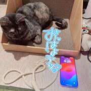 ヒメ日記 2025/12/15 04:48 投稿 さゆき 奥鉄オクテツ東京店（デリヘル市場）