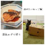 ヒメ日記 2025/12/16 01:31 投稿 さゆき 奥鉄オクテツ東京店（デリヘル市場）