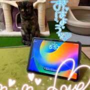 さゆき 何とかせねば 奥鉄オクテツ東京店（デリヘル市場）