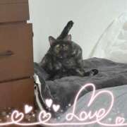 ヒメ日記 2025/12/21 22:01 投稿 さゆき 奥鉄オクテツ東京店（デリヘル市場）