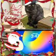 ヒメ日記 2025/12/24 04:54 投稿 さゆき 奥鉄オクテツ東京店（デリヘル市場）