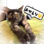 ヒメ日記 2025/12/30 16:45 投稿 さゆき 奥鉄オクテツ東京店（デリヘル市場）