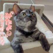 ヒメ日記 2026/01/02 09:41 投稿 さゆき 奥鉄オクテツ東京店（デリヘル市場）