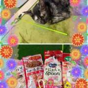 ヒメ日記 2026/01/02 16:45 投稿 さゆき 奥鉄オクテツ東京店（デリヘル市場）