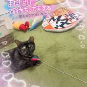 ヒメ日記 2026/01/05 22:10 投稿 さゆき 奥鉄オクテツ東京店（デリヘル市場）