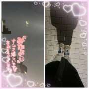 ヒメ日記 2026/01/15 06:52 投稿 さゆき 奥鉄オクテツ東京店（デリヘル市場）