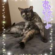 ヒメ日記 2026/01/15 22:10 投稿 さゆき 奥鉄オクテツ東京店（デリヘル市場）