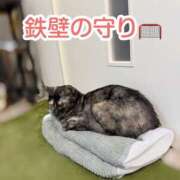 ヒメ日記 2026/01/25 21:09 投稿 さゆき 奥鉄オクテツ東京店（デリヘル市場）