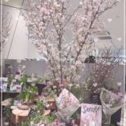 ヒメ日記 2026/01/27 16:57 投稿 さゆき 奥鉄オクテツ東京店（デリヘル市場）