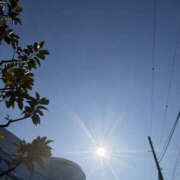 ヒメ日記 2026/02/02 13:57 投稿 さゆき 奥鉄オクテツ東京店（デリヘル市場）