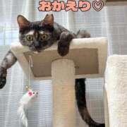 ヒメ日記 2026/02/03 22:44 投稿 さゆき 奥鉄オクテツ東京店（デリヘル市場）