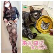 ヒメ日記 2026/02/06 00:06 投稿 さゆき 奥鉄オクテツ東京店（デリヘル市場）