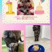 ヒメ日記 2026/02/07 07:14 投稿 さゆき 奥鉄オクテツ東京店（デリヘル市場）