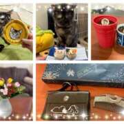 ヒメ日記 2026/02/08 14:39 投稿 さゆき 奥鉄オクテツ東京店（デリヘル市場）