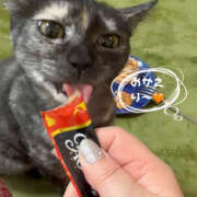 ヒメ日記 2026/02/10 21:10 投稿 さゆき 奥鉄オクテツ東京店（デリヘル市場）