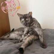 ヒメ日記 2026/02/11 21:35 投稿 さゆき 奥鉄オクテツ東京店（デリヘル市場）