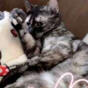 ヒメ日記 2026/02/14 23:11 投稿 さゆき 奥鉄オクテツ東京店（デリヘル市場）