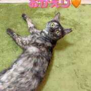 ヒメ日記 2026/02/17 21:30 投稿 さゆき 奥鉄オクテツ東京店（デリヘル市場）