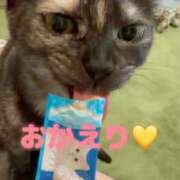 ヒメ日記 2026/02/20 21:03 投稿 さゆき 奥鉄オクテツ東京店（デリヘル市場）