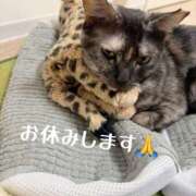 ヒメ日記 2026/02/22 06:17 投稿 さゆき 奥鉄オクテツ東京店（デリヘル市場）