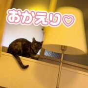 さゆき 帰宅しました♡♡ 奥鉄オクテツ東京店（デリヘル市場）