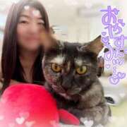 ヒメ日記 2026/03/10 22:15 投稿 さゆき 奥鉄オクテツ東京店（デリヘル市場）