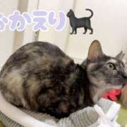 ヒメ日記 2026/03/16 21:45 投稿 さゆき 奥鉄オクテツ東京店（デリヘル市場）