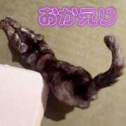 ヒメ日記 2026/03/17 21:30 投稿 さゆき 奥鉄オクテツ東京店（デリヘル市場）