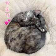 ヒメ日記 2026/03/27 20:10 投稿 さゆき 奥鉄オクテツ東京店（デリヘル市場）