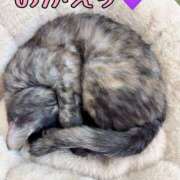 ヒメ日記 2026/03/31 21:39 投稿 さゆき 奥鉄オクテツ東京店（デリヘル市場）