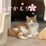 ヒメ日記 2026/04/03 22:07 投稿 さゆき 奥鉄オクテツ東京店（デリヘル市場）