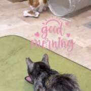 ヒメ日記 2026/04/04 08:21 投稿 さゆき 奥鉄オクテツ東京店（デリヘル市場）