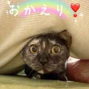 ヒメ日記 2026/04/07 20:52 投稿 さゆき 奥鉄オクテツ東京店（デリヘル市場）