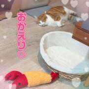 ヒメ日記 2026/04/09 20:59 投稿 さゆき 奥鉄オクテツ東京店（デリヘル市場）