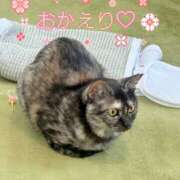 ヒメ日記 2026/04/11 21:47 投稿 さゆき 奥鉄オクテツ東京店（デリヘル市場）